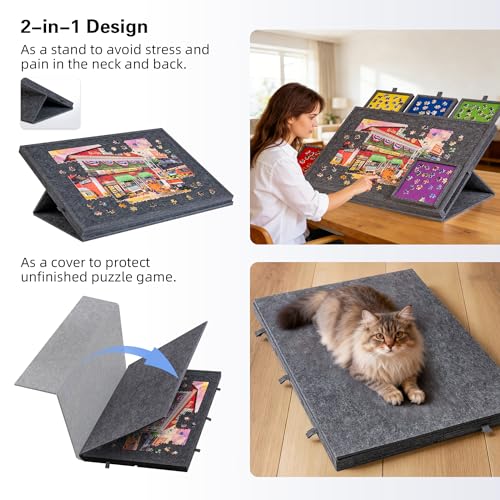 Tilting Puzzle Board with 2 (1000 Count)
