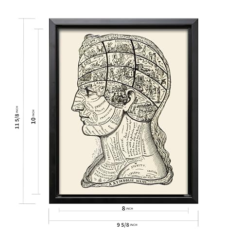 A Symbolic Head Phrenology Print 1899