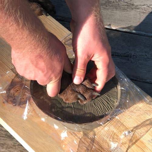 DIY Paw Print Stepping Stone Kit