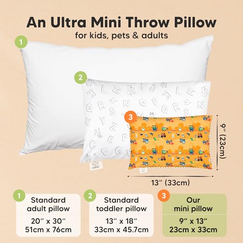 Mini Toddler Pillow with Pillowcase