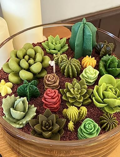 9 Pack Succulent Silicone Mold