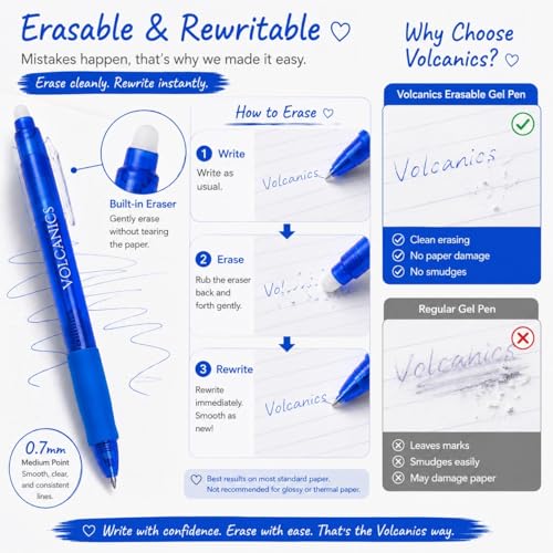 Blue Erasable Gel Pens (24 Count)