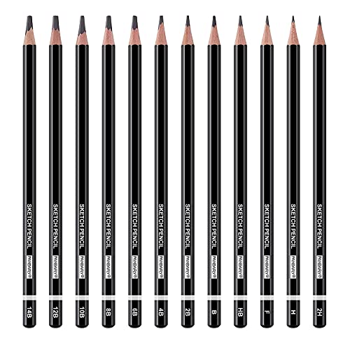 Drawing Sketching Pencil Set (12 Count)