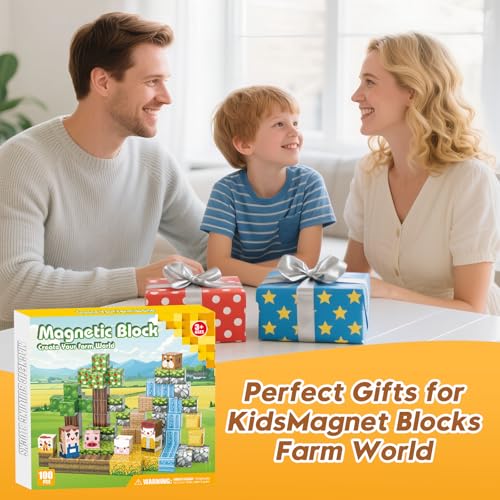 100pcs Magnetic Blocks (100 Count)