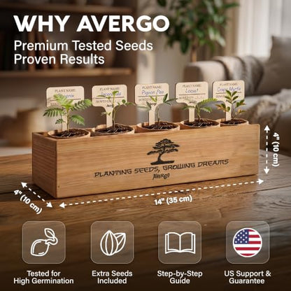 Bonsai Tree Kit Deluxe
