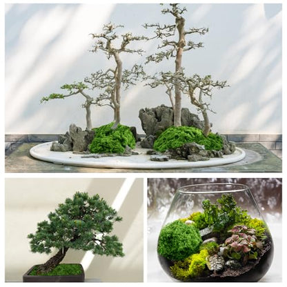 Fake Green Moss for Potted Plants