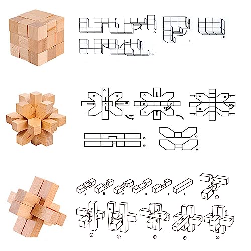 9pcs Wooden Brain Teaser Puzzles (9 Count)