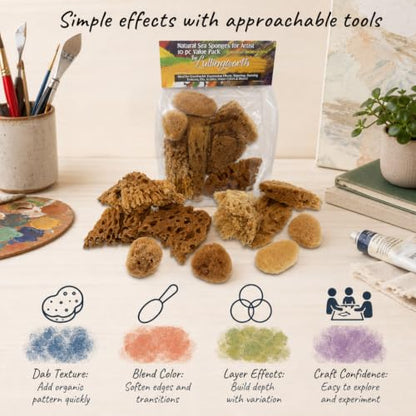 Natural Sea Sponges 10pk for Artists (10 Count)