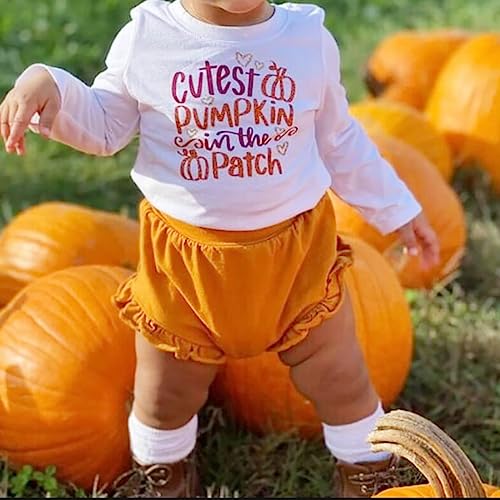 Fall Stencils for Crafts Reusable Fall Stencils for Painting on Wood 6" (25 Count)