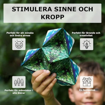 DODECA Magnetic Puzzle Cube