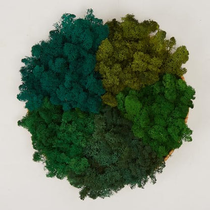 Preserved Reindeer Mix Craft Moss Natural Green DIY Kit Gardenning Art Wall Decor Florist Easter Table Decor Wedding Decor