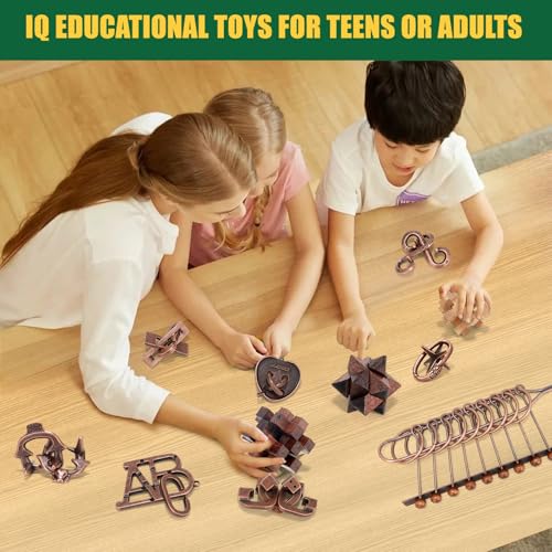 Brain Teaser Puzzles for Adults Teens Kids (13 Count)