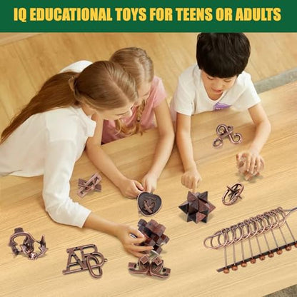 Brain Teaser Puzzles for Adults Teens Kids (13 Count)