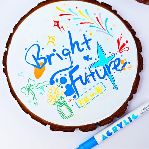 Acrylic Gel Pens (12 Count)