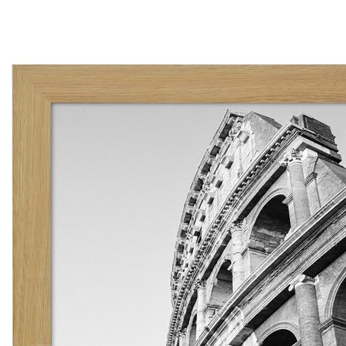 20x24 Poster Frame
