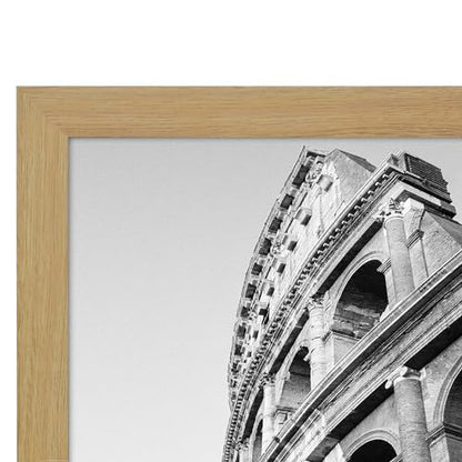 20x24 Poster Frame