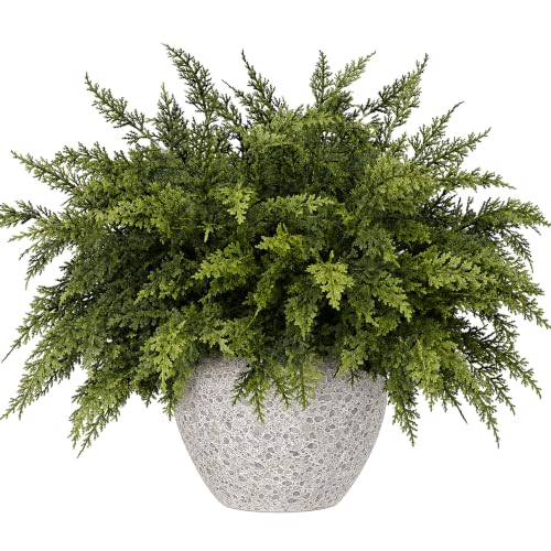 10 Pcs 17 Inches Christmas 2 Color Cypress Branches (10 Count)