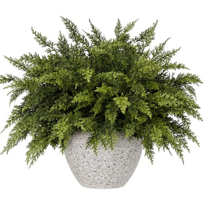 10 Pcs 17 Inches Christmas 2 Color Cypress Branches (10 Count)
