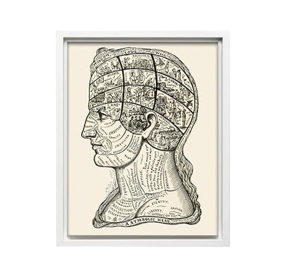 A Symbolic Head Phrenology Print 1899