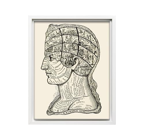 A Symbolic Head Phrenology Print 1899