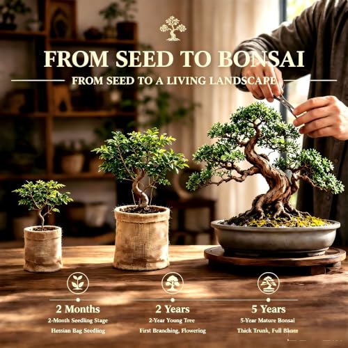8 Pack Bonsai Tree Kit with Complete Tools (40 Count)