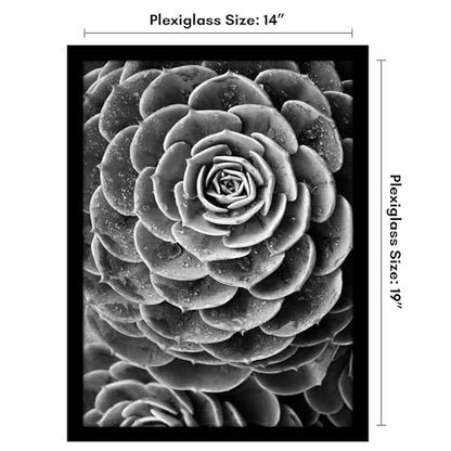 14x19 Poster Frame