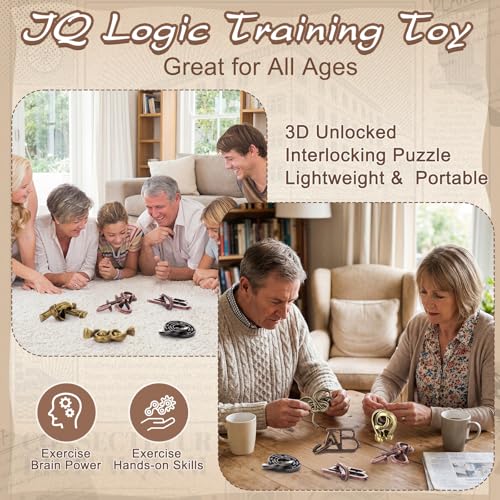 9 Pcs Metal Brain Teasers 3D Steel Puzzle Set (9 Count)
