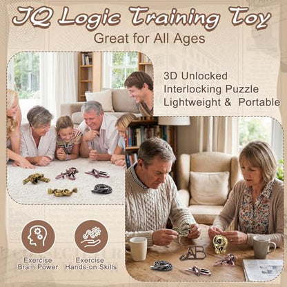 9 Pcs Metal Brain Teasers 3D Steel Puzzle Set (9 Count)