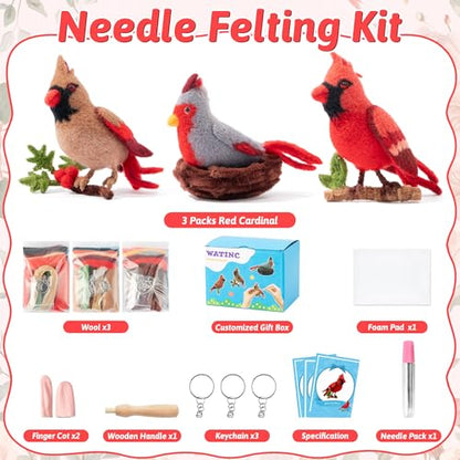 Needle Felting Kit
