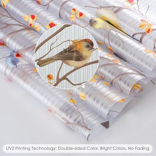 Reeded Glass Window Film Seamless Pattern Colored Birds 35.4" x 78.7"