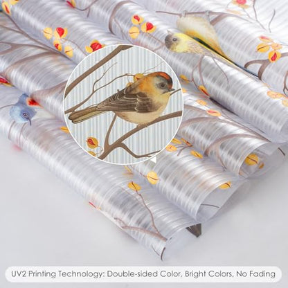 Reeded Glass Window Film Seamless Pattern Colored Birds 35.4" x 78.7"