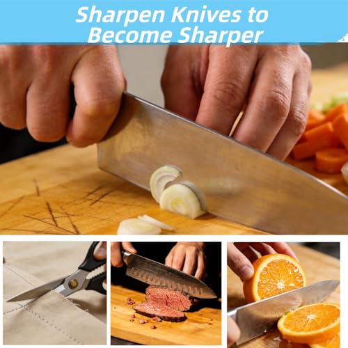 6 PCS Diamond Sharpening Plate with Honeycomb Surface Plate for Scissors Knives Outdoor Tools From Coarse to Extra Fine 400 (7 Count)