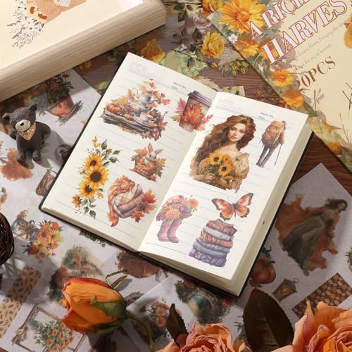 Scrapbook Stickers 20 Sheets 240 Pre