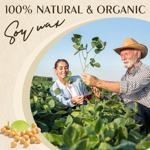 Soy Wax Waxcanpy Natural Soy Wax for Candle Making