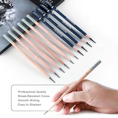 25 Piece Professional Sketch Pencil Set with Matte and Regular Pencils (25 Count)