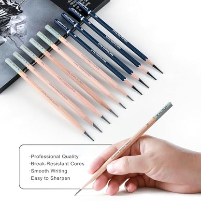 25 Piece Professional Sketch Pencil Set with Matte and Regular Pencils (25 Count)