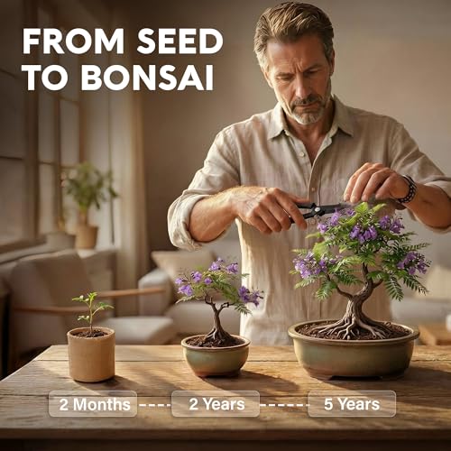 Bonsai Tree Kit Deluxe
