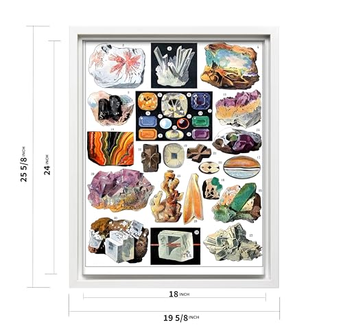 Vintage Geology Canvas