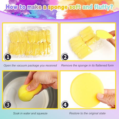 24 PCS 2.9 lnch Sponge Bulk (24 Count)