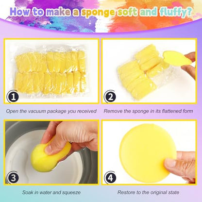 24 PCS 2.9 lnch Sponge Bulk (24 Count)