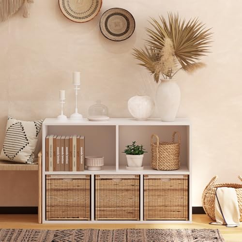 Wooden 5 Cube Storage Organizer with Closed Back Panel