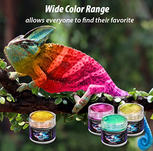 Chameleon Mica Powder