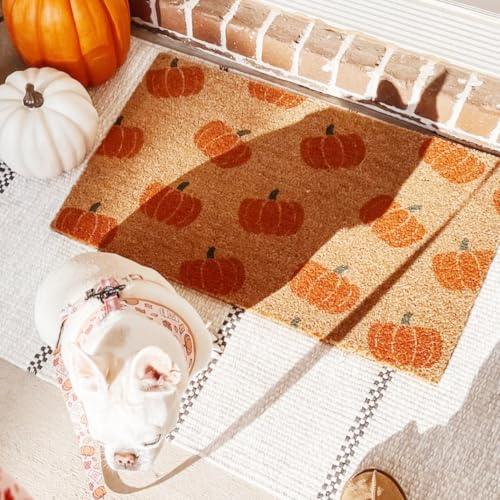 Fall Stencils for Door Mats 27”X17” Reusable Fall Doormat Stencils Hey There Pumpkin Stencil for Doormats Wood Sign Decor (6 Count)