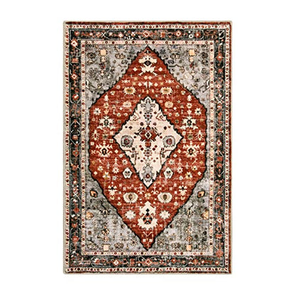 Felice Boho Tribal Area Rug