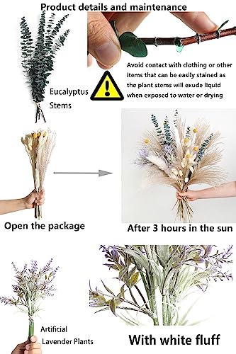 Natural Dried Pampas Eucalyptus Rabbit Tail Grass (66 Count)