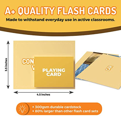 300 Noun Vocabulary Builder Flash Cards for Speech Therapy & ESL