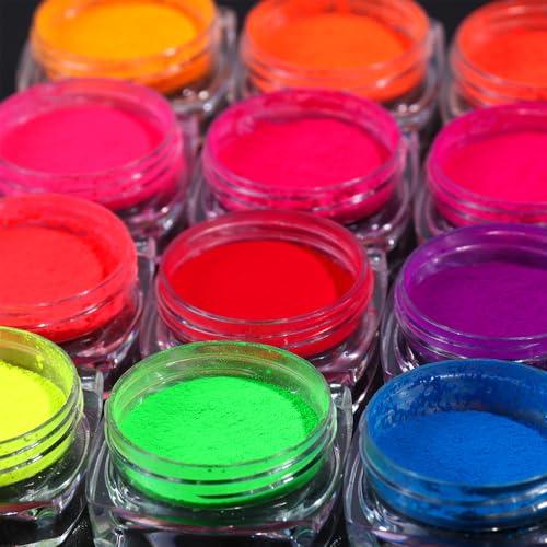 13 Colors Neon Phosphor Nail Pigment Powder Set (2.52 Ounce)