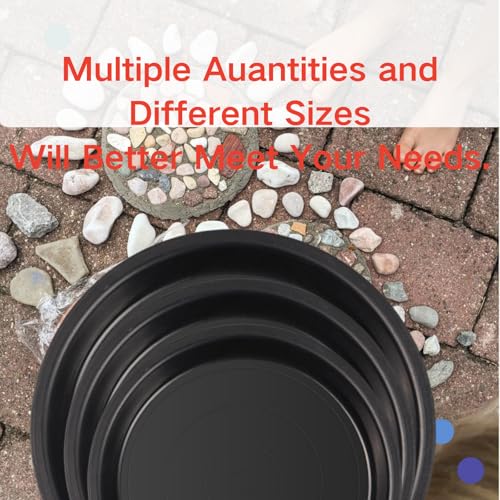 Stepping Stone Kit Includes 3 Size Cement Molds