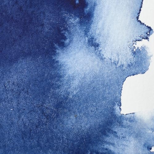 Professional Watercolor