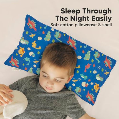 Toddler Pillow with Pillowcase
